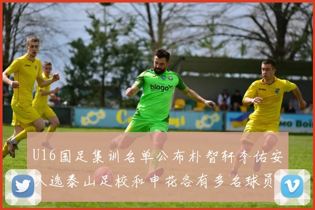 U16国足集训名单公布朴智轩李佑安入选泰山足校和申花各有多名球员参与