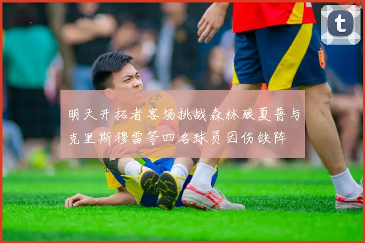 明天开拓者客场挑战森林狼夏普与克里斯穆雷等四名球员因伤缺阵