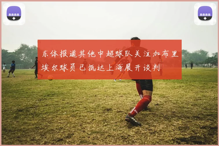东体报道其他中超球队关注加布里埃尔球员已抵达上海展开谈判