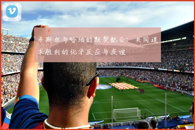 卡斯尔与哈珀的默契配合：共同追求胜利的化学反应与友谊