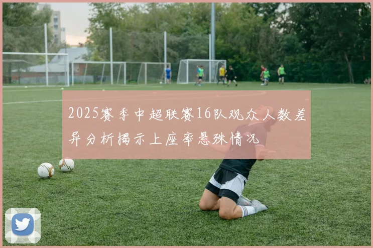 2025赛季中超联赛16队观众人数差异分析揭示上座率悬殊情况