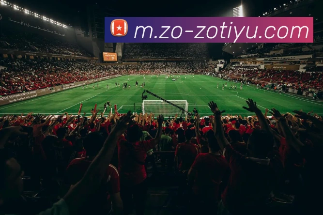 中欧体育平台生态图