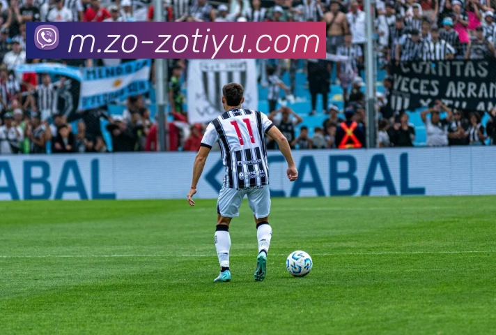 中欧体育APP 封面图